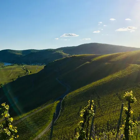 Hébergement de vacances Mathy *
