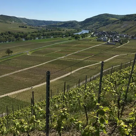 Mathy Dom wakacyjny Osann-Monzel