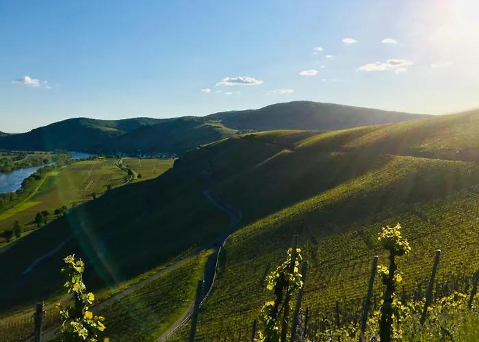 בית נופש Mathy *