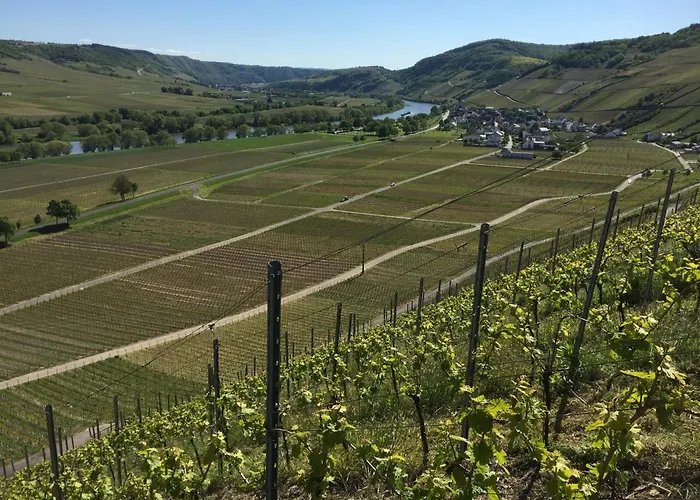 Mathy בית נופש Osann-Monzel